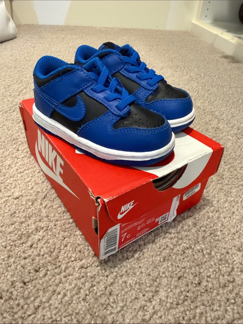 Nike Dunks Kids Royal Blue and Black Low-Top Sneakers